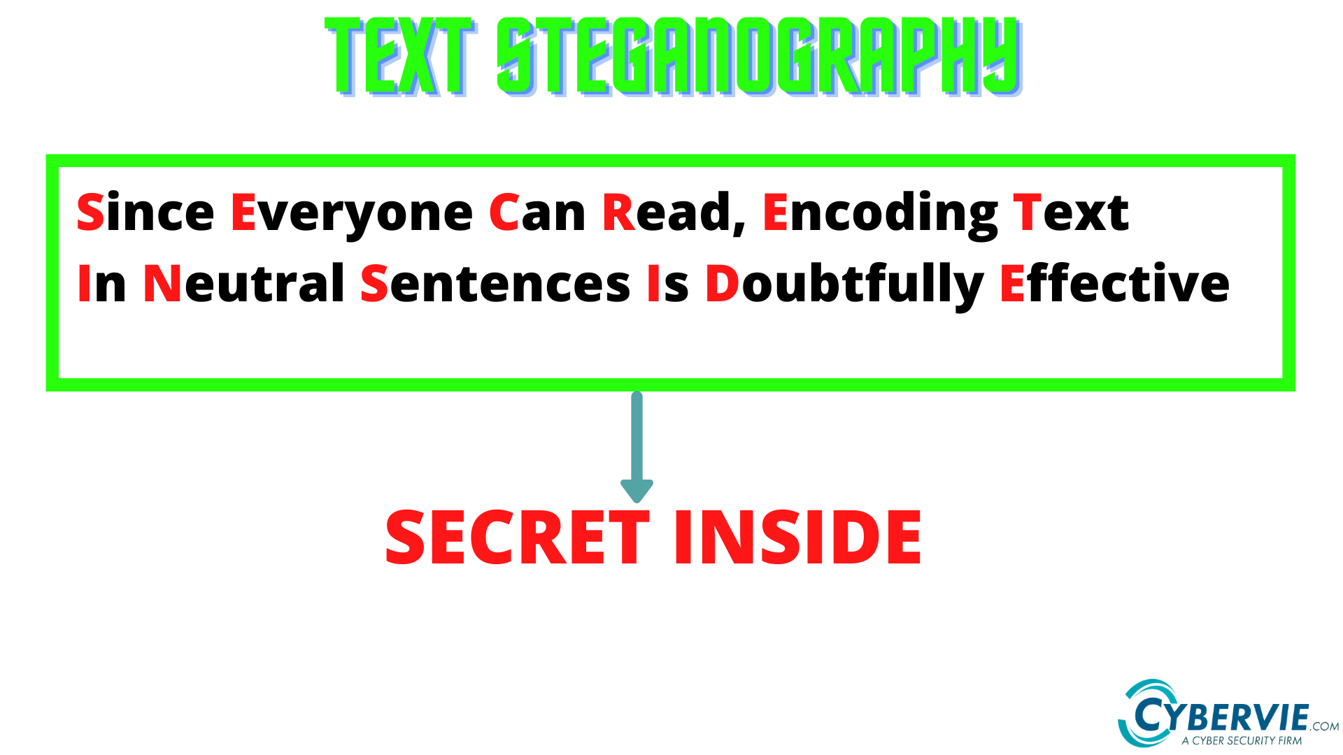 text-steg